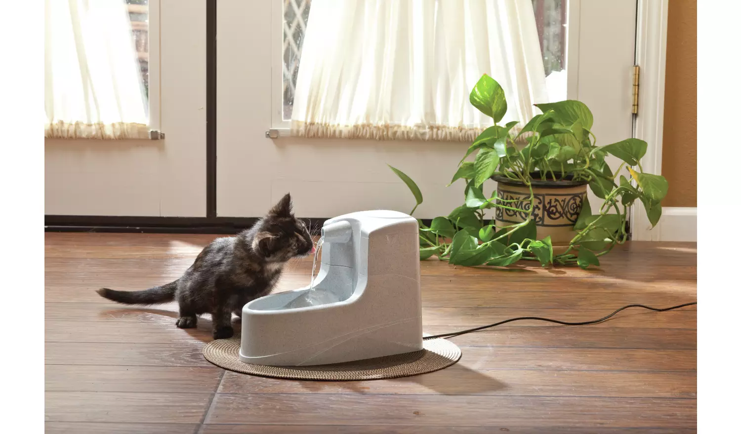 Mini pet fountain sale