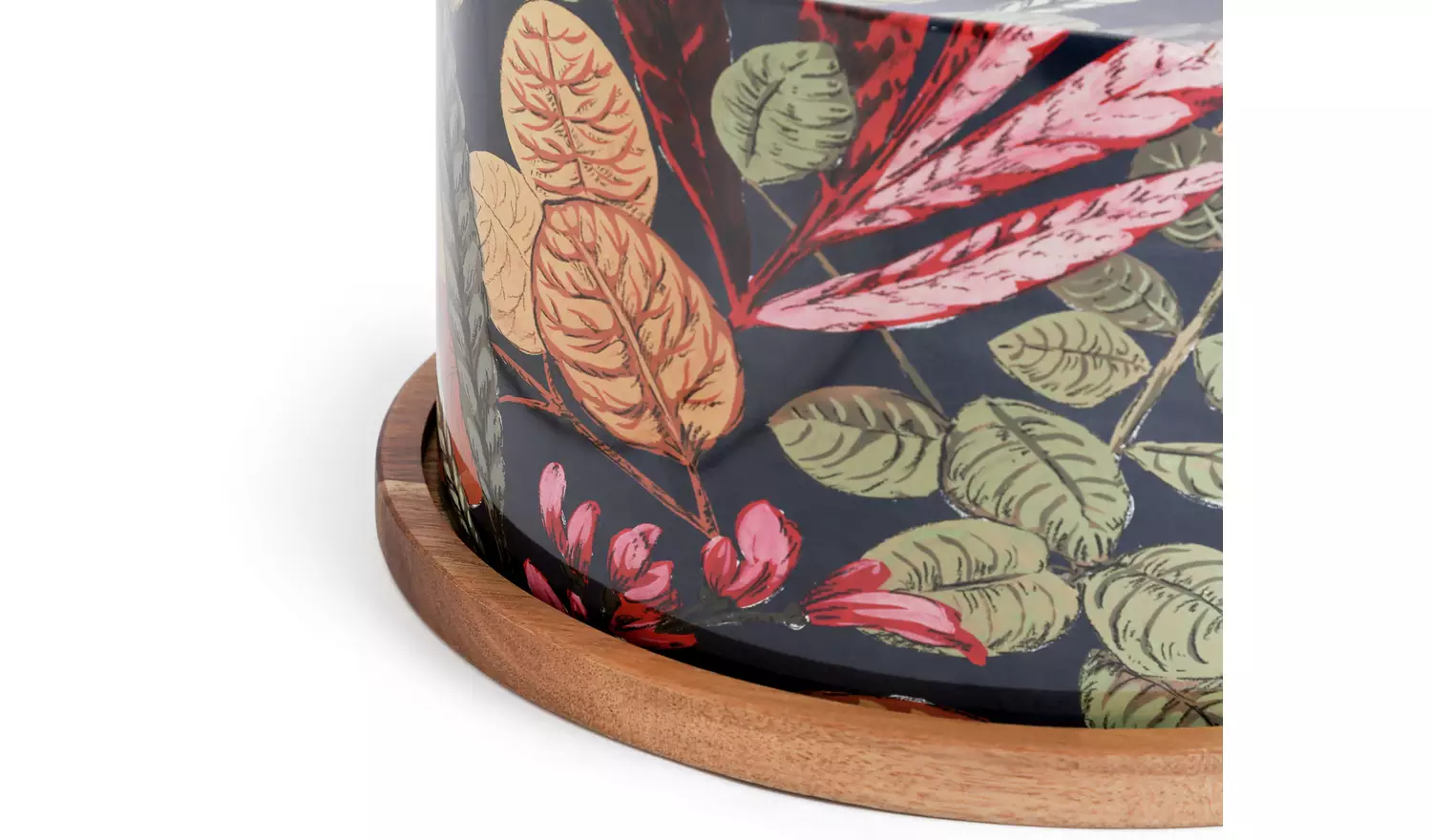 Habitat Cake Board with Printed Lid