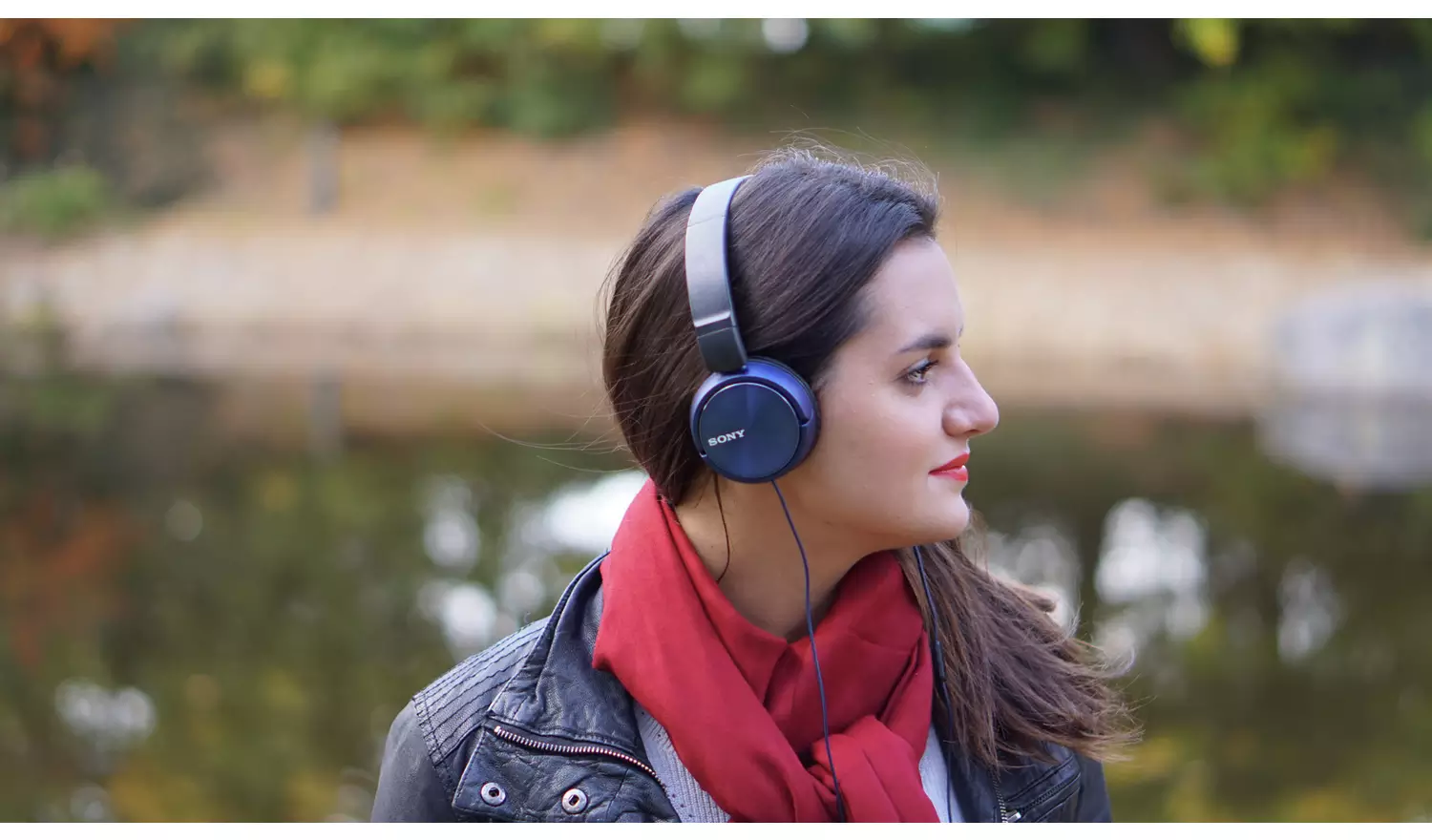 Sony ZX310 On-Ear Headphones
