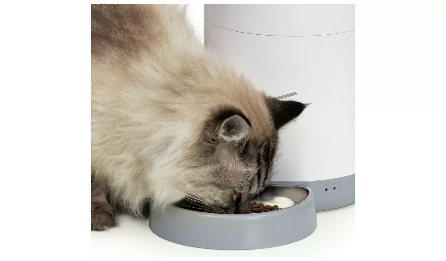 Catit PIXI Smart Feeder