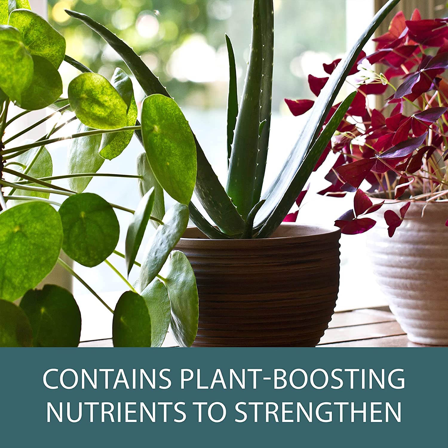 Plantsmith Protecting Bug Control Spray for Indoor Plants & Flowers, Natural Strengthening Formulation to Repel Insects & Pests – 500ml Mist